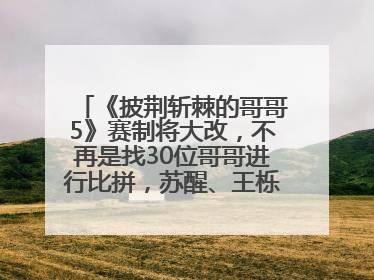 《披荆斩棘的哥哥5》赛制将大改，不再是找30位哥哥进行比拼，苏醒、王栎鑫、王铮亮、张远等多名男团选手被曝将参加