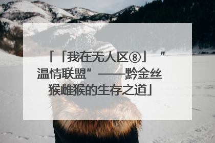 「我在无人区⑧」“温情联盟”——黔金丝猴雌猴的生存之道