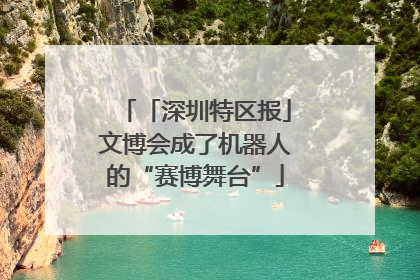 「深圳特区报」文博会成了机器人的“赛博舞台”