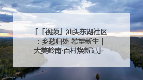 「视频」汕头东湖社区：乡愁归处 希望新生｜大美岭南·百村焕新记