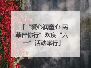 “爱心润童心 民革伴你行”欢度“六一”活动举行