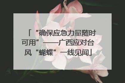 “确保应急力量随时可用”——广西应对台风“蝴蝶”一线见闻