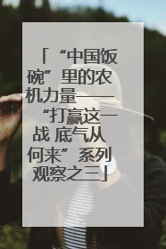 “中国饭碗”里的农机力量——“打赢这一战 底气从何来”系列观察之三