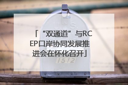 “双通道”与RCEP口岸协同发展推进会在怀化召开
