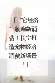 “它经济”领跑新消费！长宁打造宠物经济消费新场景！