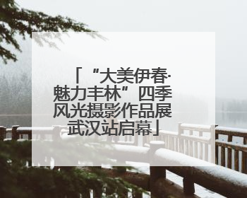 “大美伊春·魅力丰林”四季风光摄影作品展武汉站启幕