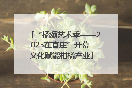“橘颂艺术季——2025在官庄”开幕 文化赋能柑橘产业