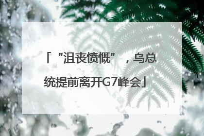 “沮丧愤慨”，乌总统提前离开G7峰会