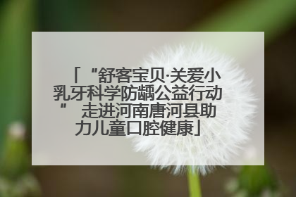 “舒客宝贝·关爱小乳牙科学防龋公益行动” 走进河南唐河县助力儿童口腔健康