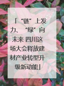 “链”上发力、“绿”向未来 四川这场大会释放建材产业转型升级新动能