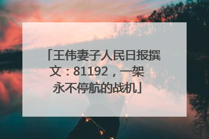 王伟妻子人民日报撰文：81192，一架永不停航的战机