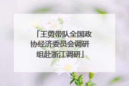 王勇带队全国政协经济委员会调研组赴浙江调研