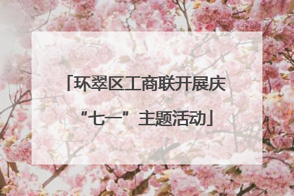 环翠区工商联开展庆“七一”主题活动