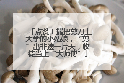 点赞！揣把剪刀上大学的小姑娘，“剪”出非遗一片天，收徒当上“大师傅”