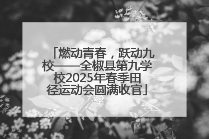 燃动青春，跃动九校——全椒县第九学校2025年春季田径运动会圆满收官