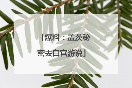 爆料：盖茨秘密去白宫游说