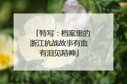 特写：档案里的浙江抗战故事有血有泪见精神