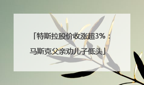特斯拉股价收涨超3%：马斯克父亲劝儿子低头