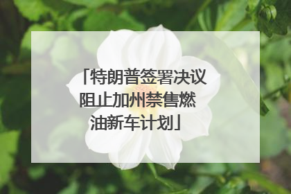 特朗普签署决议 阻止加州禁售燃油新车计划