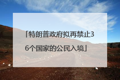 特朗普政府拟再禁止36个国家的公民入境