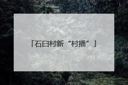 石臼村新“村播”