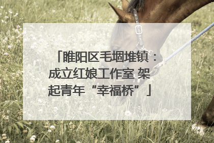 睢阳区毛堌堆镇：成立红娘工作室 架起青年“幸福桥”