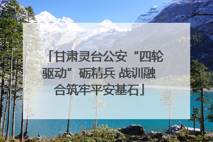 甘肃灵台公安“四轮驱动”砺精兵 战训融合筑牢平安基石