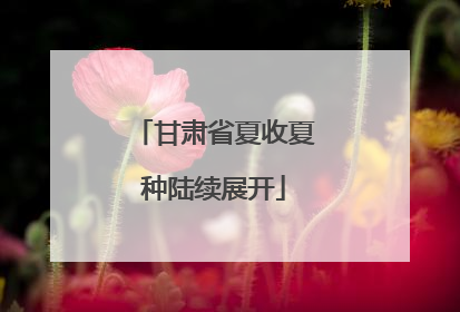 甘肃省夏收夏种陆续展开
