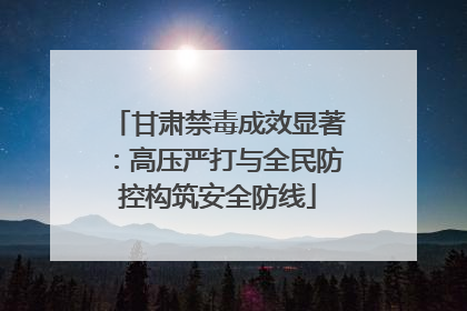甘肃禁毒成效显著：高压严打与全民防控构筑安全防线