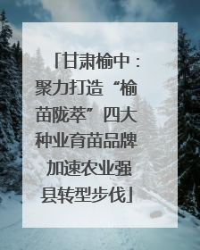 甘肃榆中：聚力打造“榆苗陇萃”四大种业育苗品牌 加速农业强县转型步伐