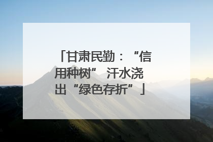 甘肃民勤：“信用种树” 汗水浇出“绿色存折”