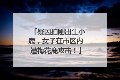 疑因拍刚出生小鹿，女子在市区内遭梅花鹿攻击！