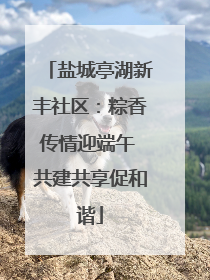 盐城亭湖新丰社区：粽香传情迎端午 共建共享促和谐