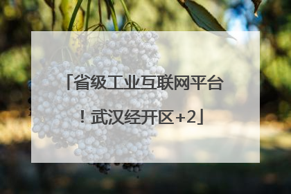 省级工业互联网平台！武汉经开区+2