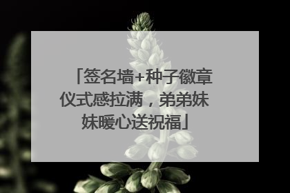 签名墙+种子徽章仪式感拉满，弟弟妹妹暖心送祝福