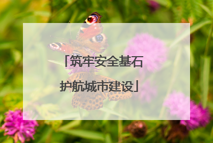 筑牢安全基石 护航城市建设