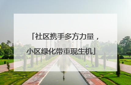 社区携手多方力量，小区绿化带重现生机