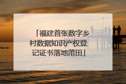 福建首张数字乡村数据知识产权登记证书落地莆田