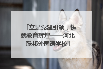 立足党建引领，铸就教育辉煌——河北联邦外国语学校
