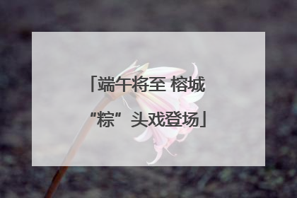 端午将至 榕城“粽”头戏登场