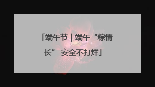 端午节｜端午“粽情长” 安全不打烊