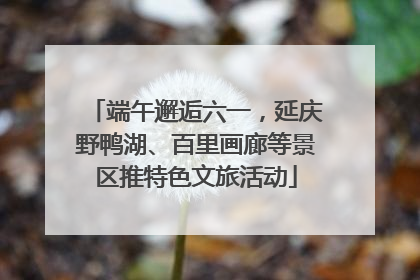 端午邂逅六一，延庆野鸭湖、百里画廊等景区推特色文旅活动