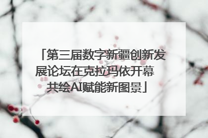 第三届数字新疆创新发展论坛在克拉玛依开幕 共绘AI赋能新图景
