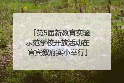 第5届新教育实验示范学校开放活动在宜宾叙府实小举行