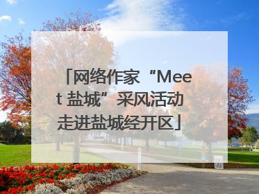 网络作家“Meet 盐城”采风活动走进盐城经开区