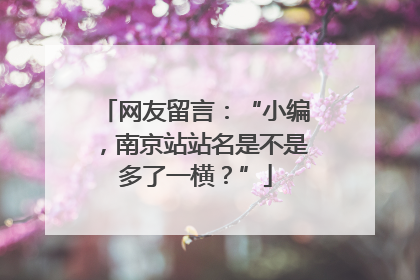 网友留言：“小编，南京站站名是不是多了一横？”