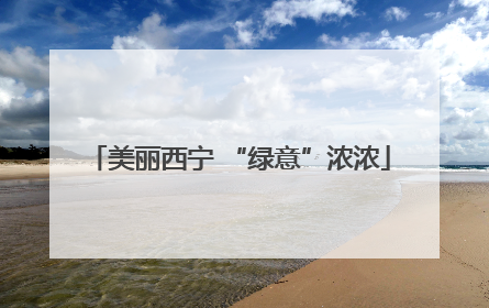 美丽西宁 “绿意”浓浓