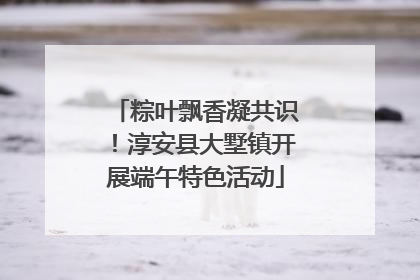 粽叶飘香凝共识！淳安县大墅镇开展端午特色活动