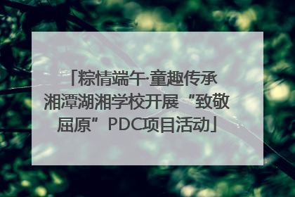 粽情端午·童趣传承 湘潭湖湘学校开展“致敬屈原”PDC项目活动