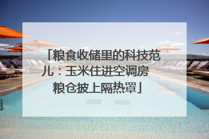 粮食收储里的科技范儿：玉米住进空调房 粮仓披上隔热罩